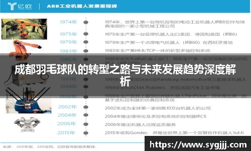 成都羽毛球队的转型之路与未来发展趋势深度解析